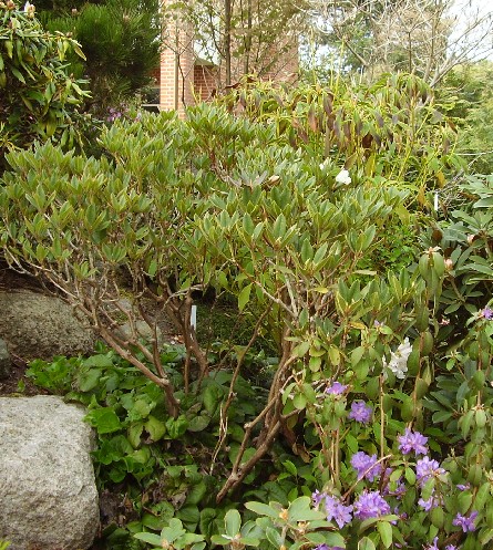 27. april 2009