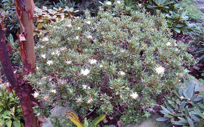 2. oktober 2007