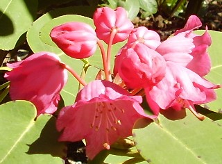 2. maj 2009