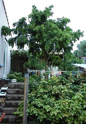 18 juli 2003