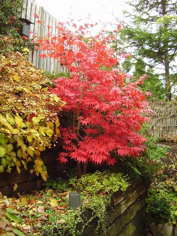 27. oktober 2009