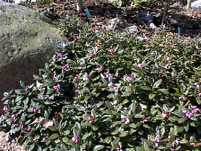 22 april 2002