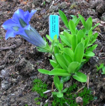 29. maj 2005
