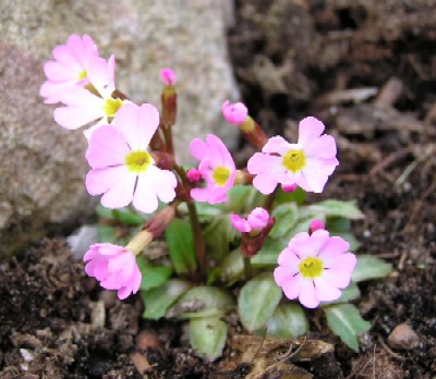19. april 2004