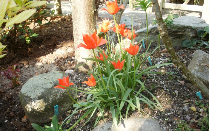 21. maj 2010